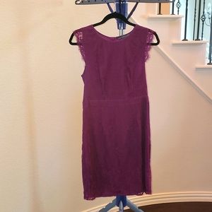 Brixon Ivy M lace cocktail sheath, Worn 2X